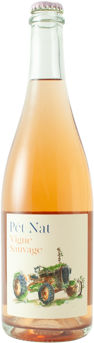 Vigne Sauvage Rose Pet Nat 2023 - Pierre & Antonin